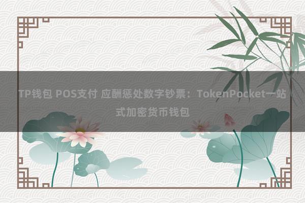 TP钱包 POS支付 应酬惩处数字钞票：TokenPocket一站式加密货币钱包