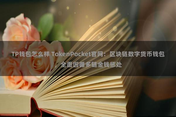 TP钱包怎么样 TokenPocket官网：区块链数字货币钱包，全面因循多链金钱惩处